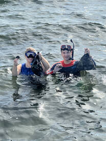 Steinhatchee Report Photo 1