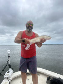 Beaufort Report Photo 2