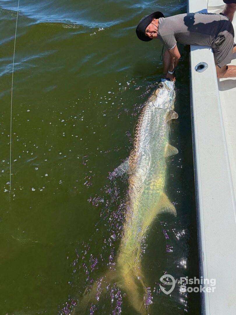 San Juan Report Photo 0