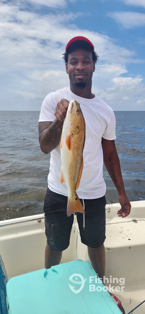 St. Marks Report Photo 0