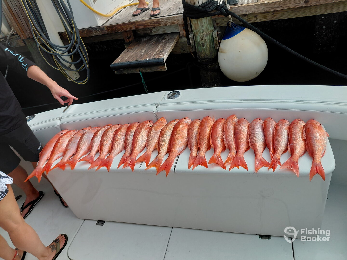 Pompano Beach Report Photo 0