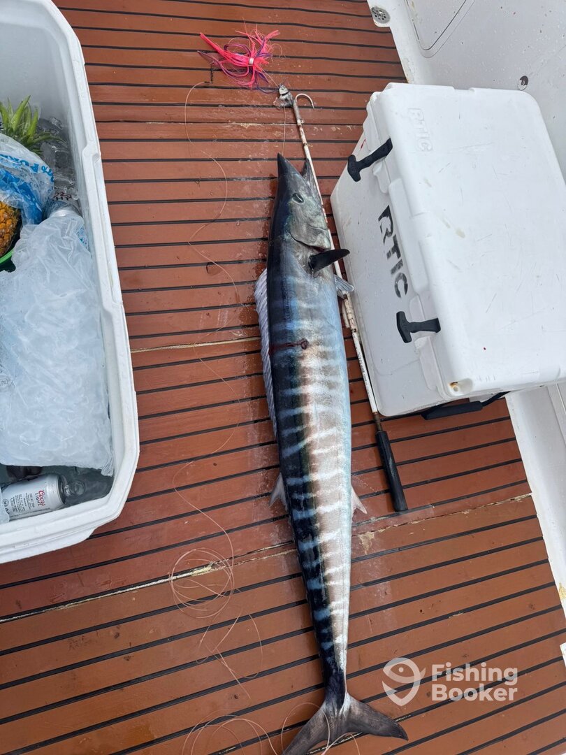 Playa Del Carmen Report Photo 0