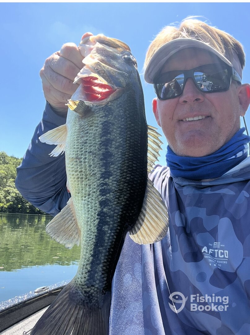 Branson Report Photo 0