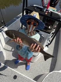 Tampa Report Photo 2