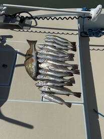 Father and sons good time trip