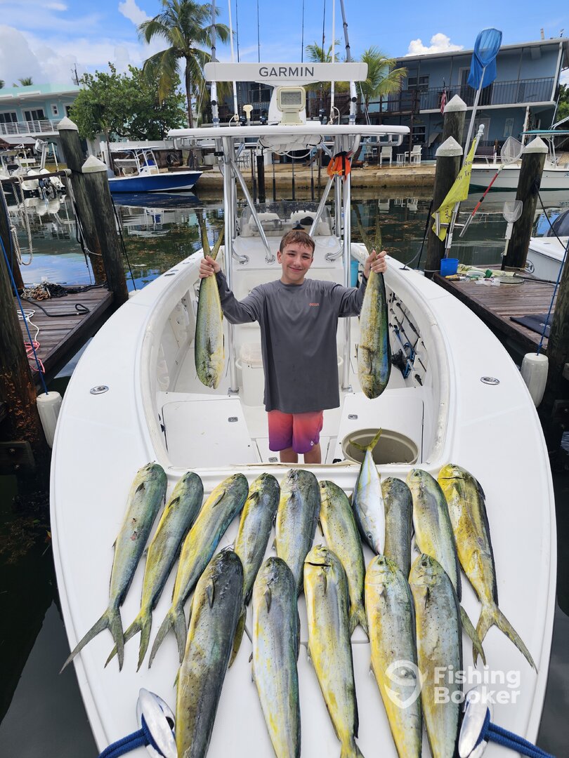 Tavernier Report Photo 0