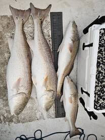 River Road Report Photo 1