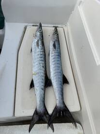 Herradura Report Photo 1