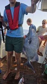 Machico Report Photo 1