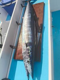 Playa Del Carmen Report Photo 2