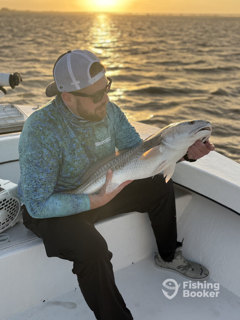 Manteo Report Photo 0