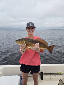 Fall Pattern is Starting