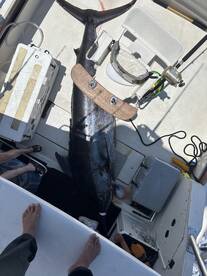 In the right area code Aloha! 808-