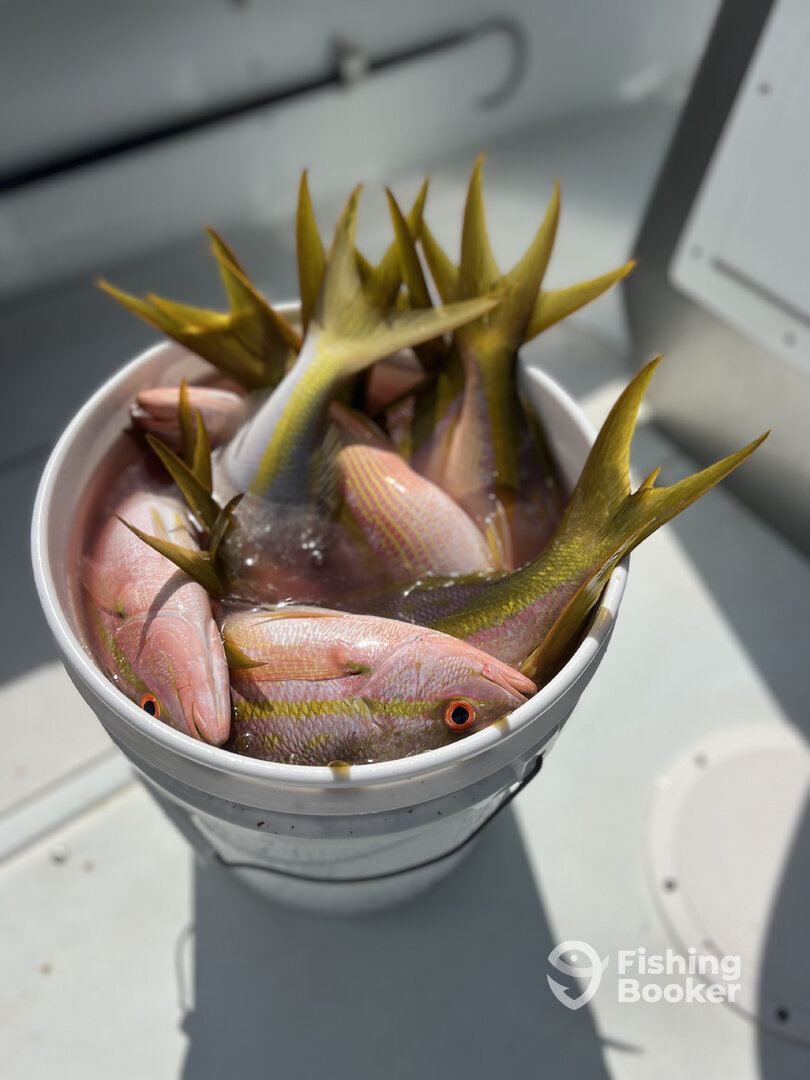 Miami Report Photo 0