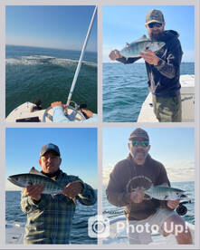 Light tackle Bonito bite has started