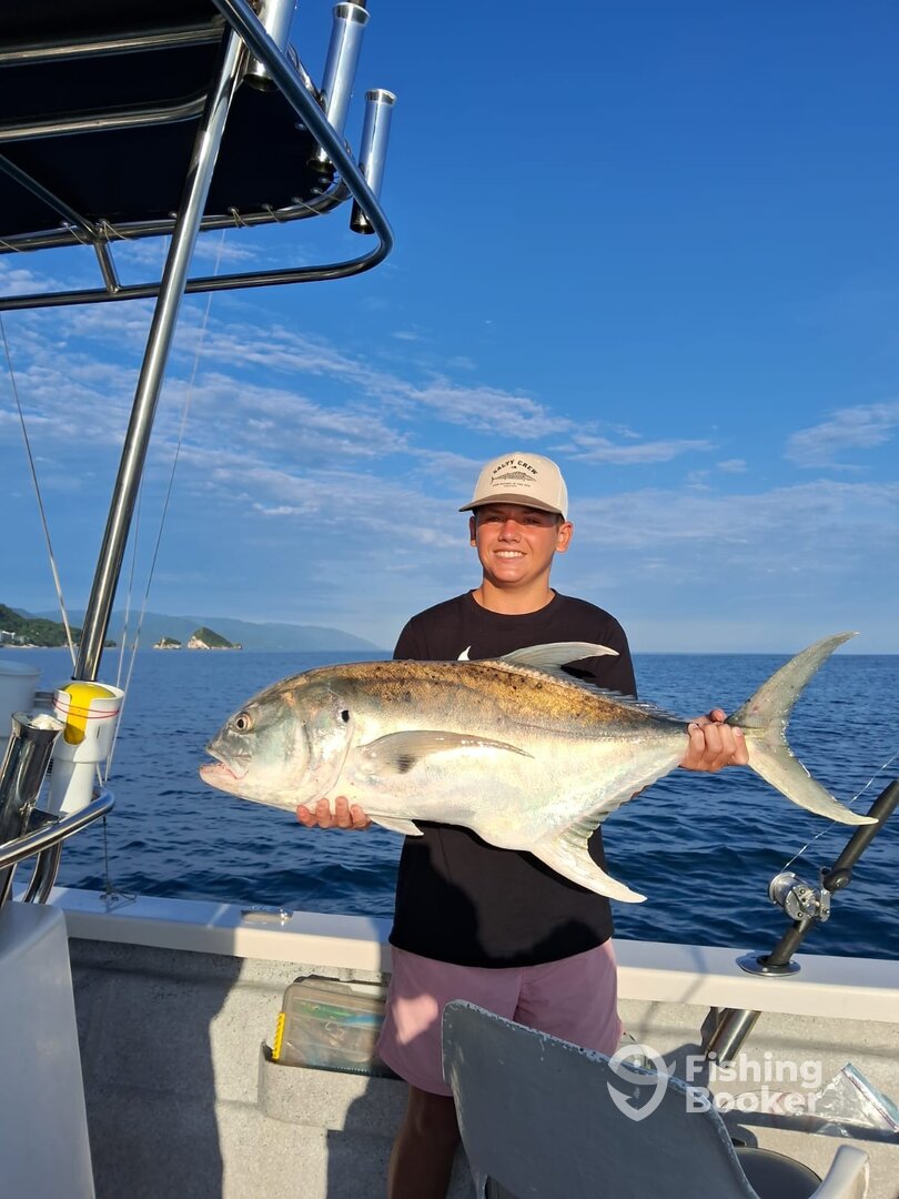 Puerto Vallarta Report Photo 0