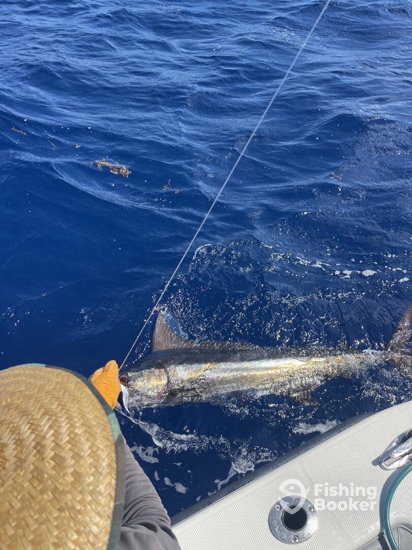 Nassau Report Photo 0