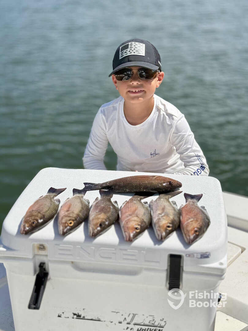 New Smyrna Beach Report Photo 0