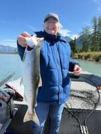 Palmer Report Photo 4