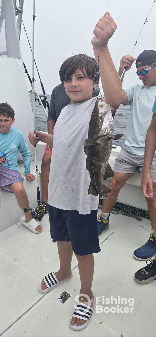 Portsmouth Report Photo 0