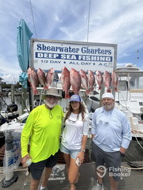 Get them while you can