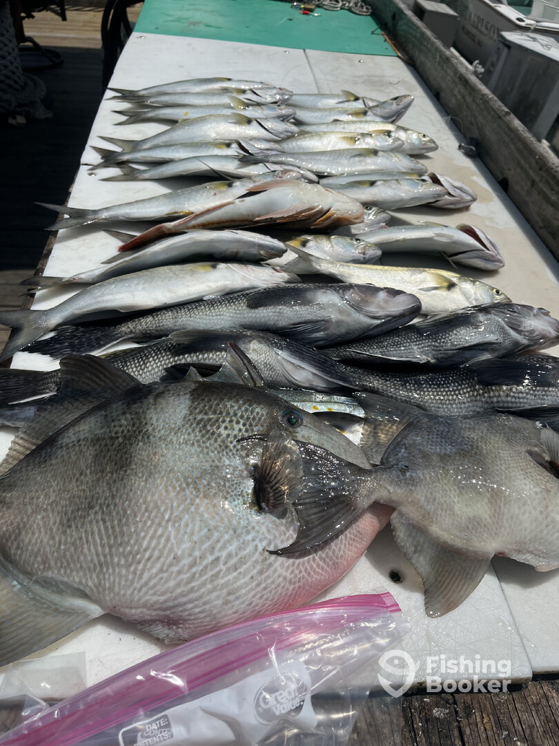 Wildwood Report Photo 0