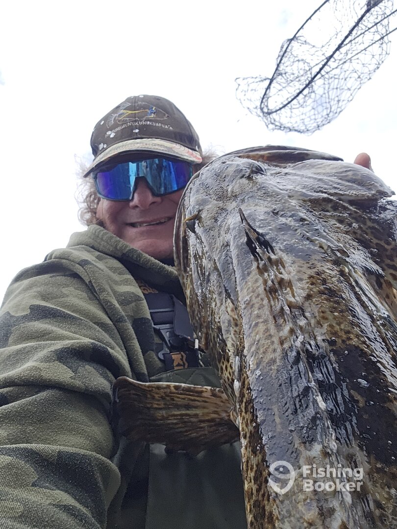 Port Hardy Report Photo 0