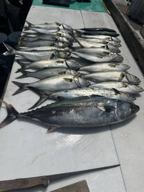 Wildwood Report Photo 3