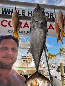 Islamorada Report Photo 2