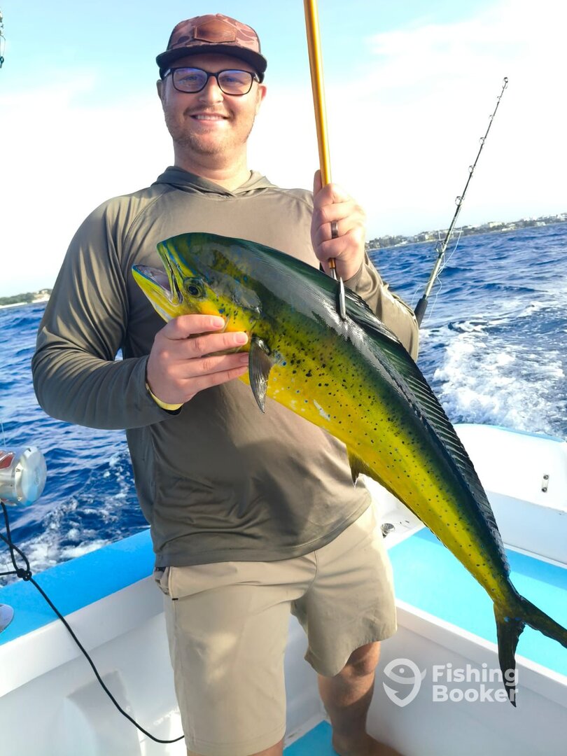 Playa Del Carmen Report Photo 0