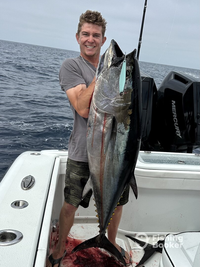 Oceanside Report Photo 0