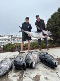 Oceanside Report Photo 1