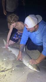 A great night for Sharks!