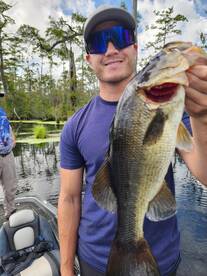 Kitty Hawk Report Photo 1