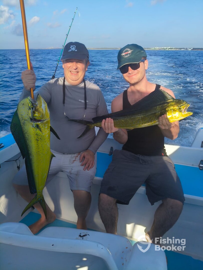 Playa Del Carmen Report Photo 0