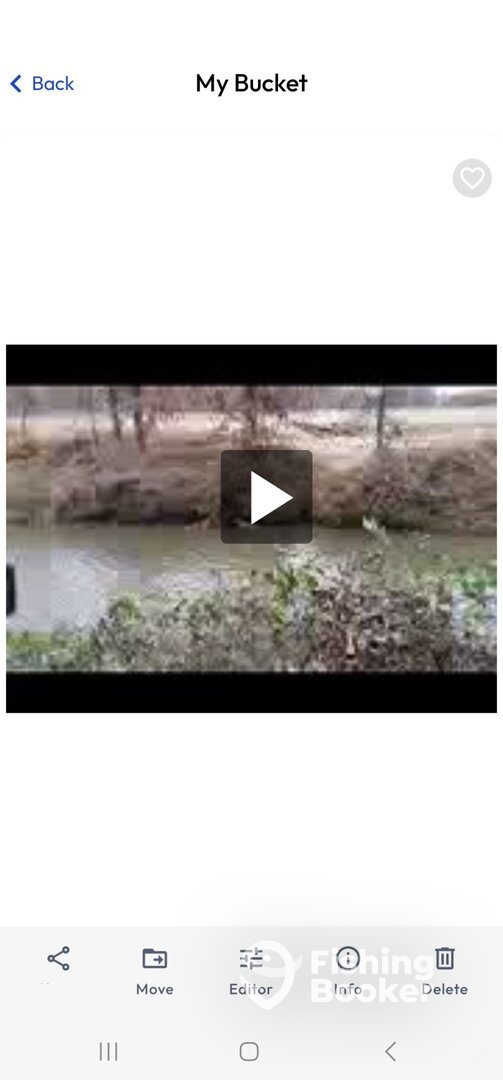 Wagoner Report Photo 0