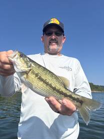 Branson Report Photo 2