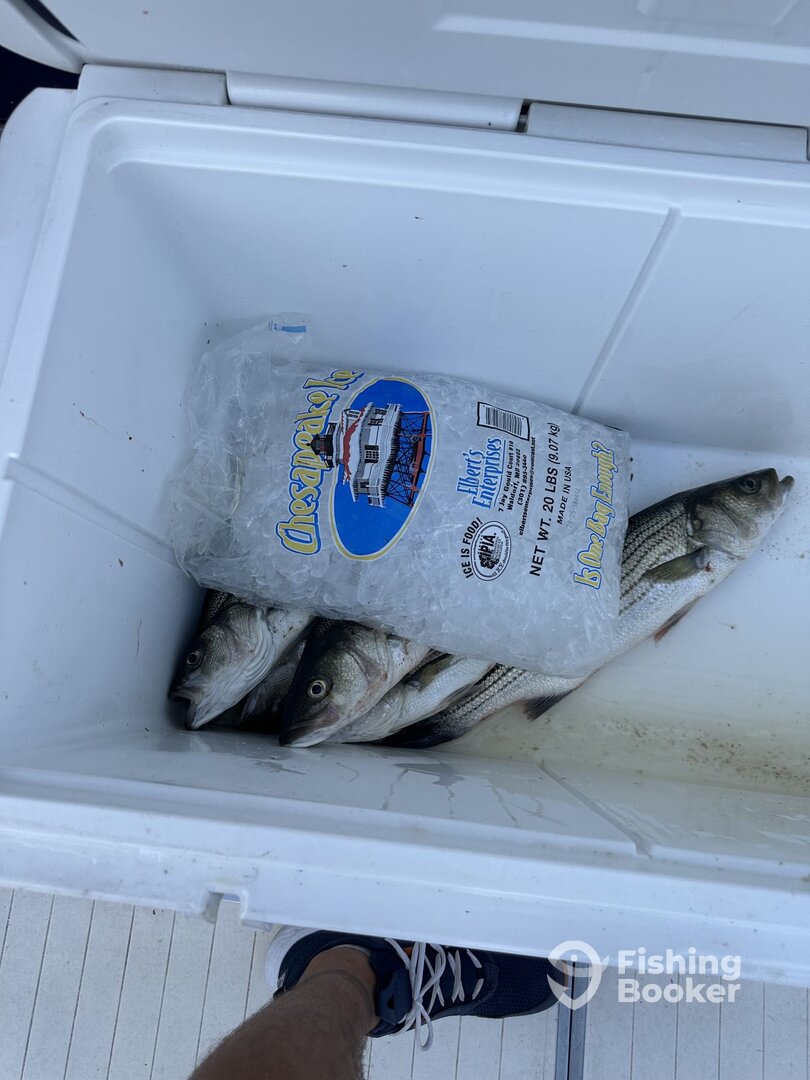 Pasadena Report Photo 0