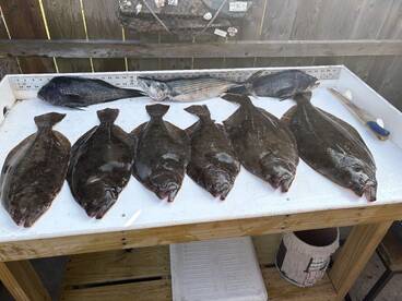 Inshore wreck fishing limits today!