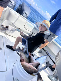 Miami Report Photo 1