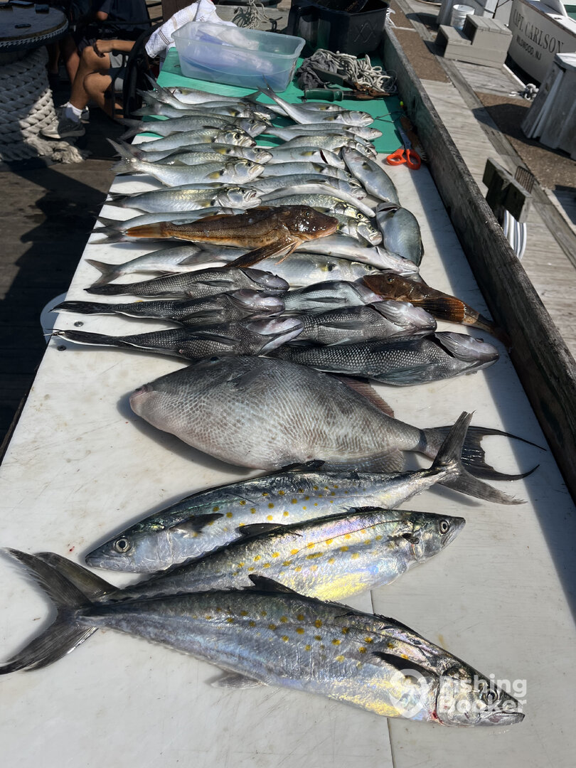 Wildwood Report Photo 0