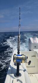 Virginia Beach Report Photo 2