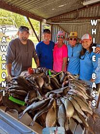 Grapevine Report Photo 2