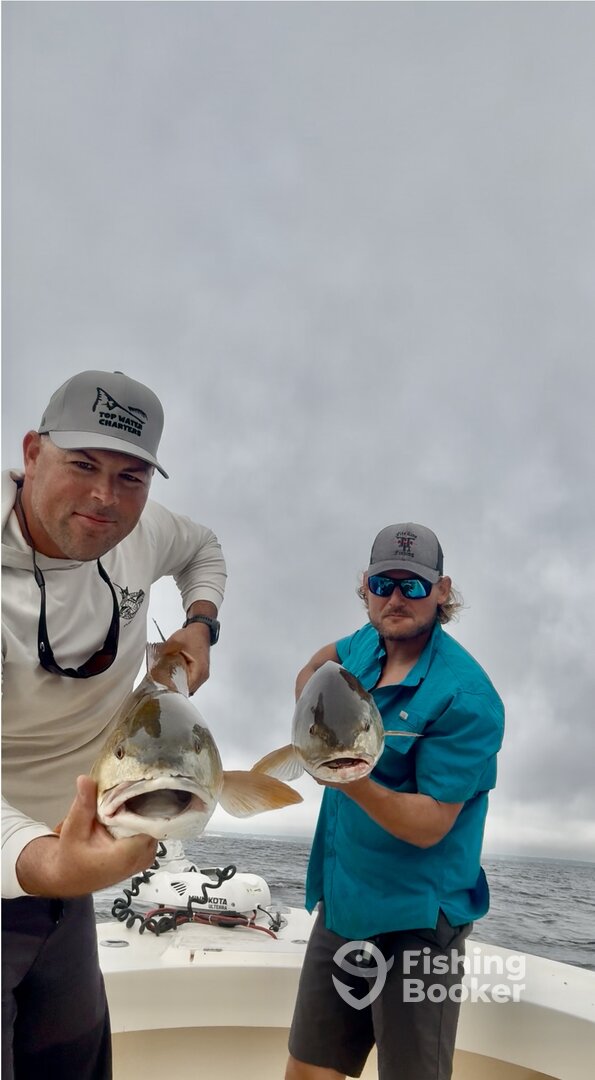 Beaufort Report Photo 0