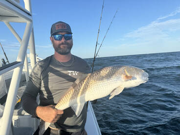 Beaufort Report Photo 1