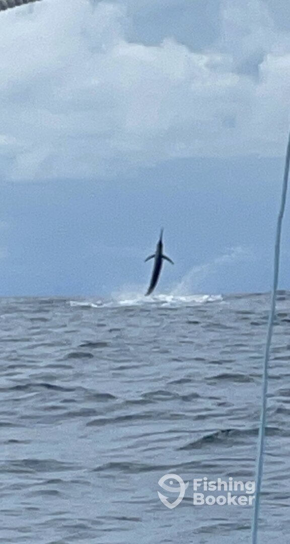 Quepos Report Photo 0