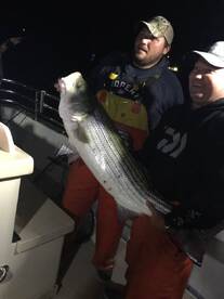 Montauk Report Photo 2