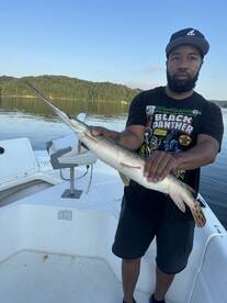 Lots of Action on the Water