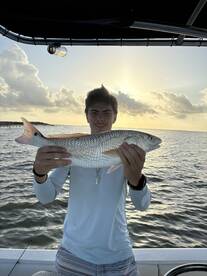 San Leon Report Photo 2