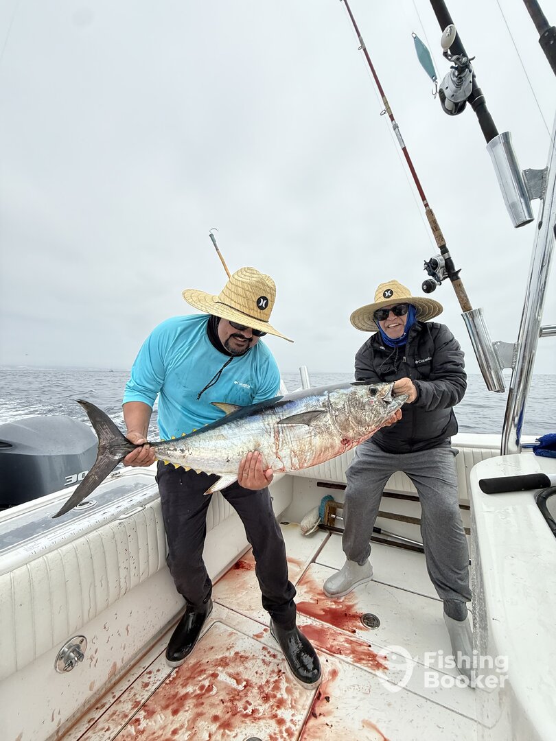 San Diego Report Photo 0